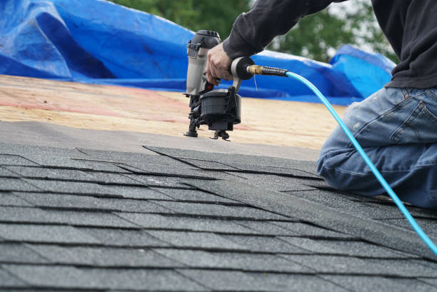 Best Roof Insulation Installation  in Montrose, VA